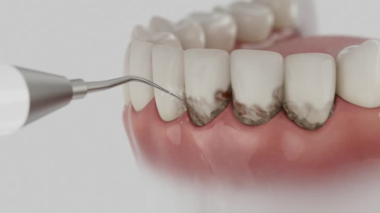 Reliable Dental contractor in Harrisville, WV by Dentist Open Now